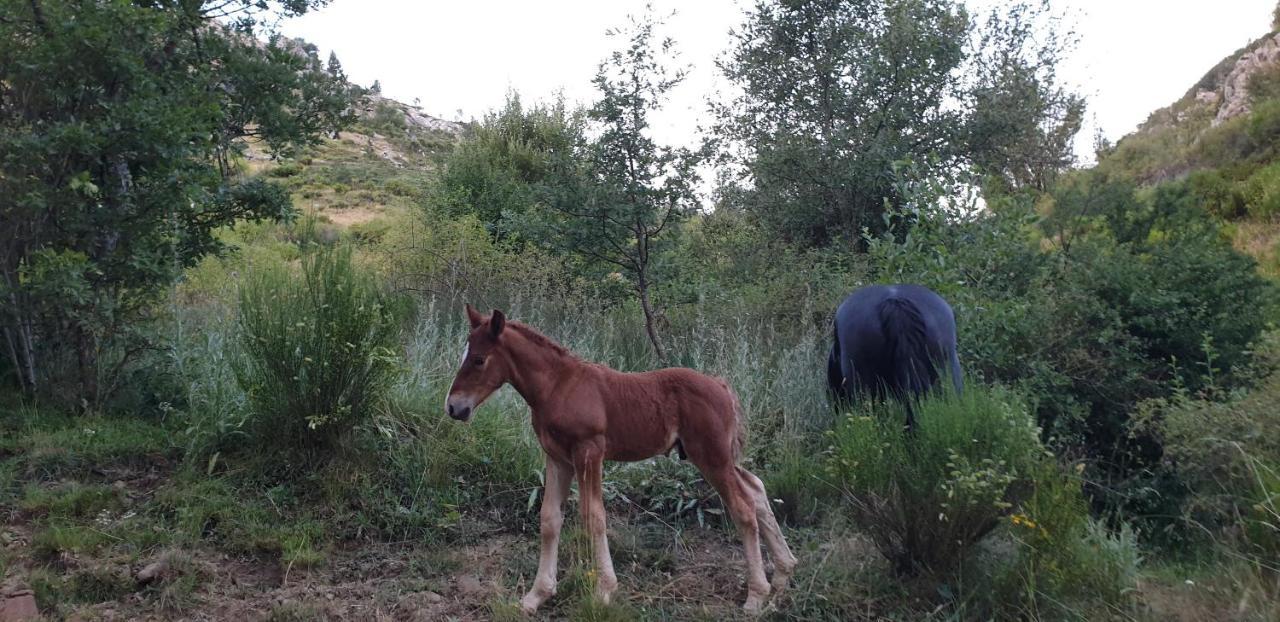 Casa Rural Carmen Luna Mallo de Luna ภายนอก รูปภาพ
